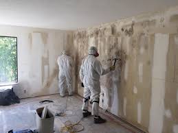 Best Basement Mold Removal  in Charlotte, NC